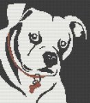 (image for) Staffy